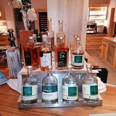 Zur Donaubruecke Πανσιόν