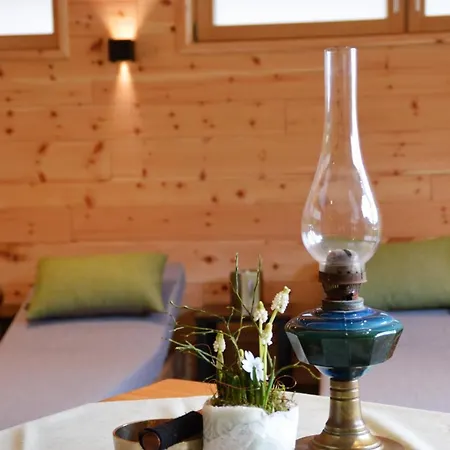 Πανσιόν Zur Donaubruecke