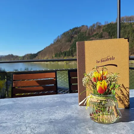 Zur Donaubruecke Πανσιόν 3*