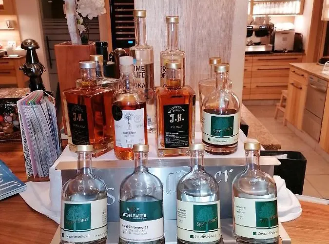 Zur Donaubruecke Guest house