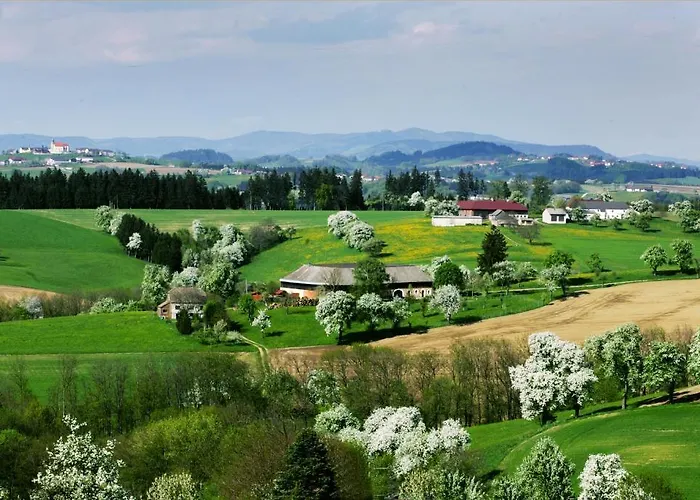 Zur Donaubruecke Guest house Ardagger Markt